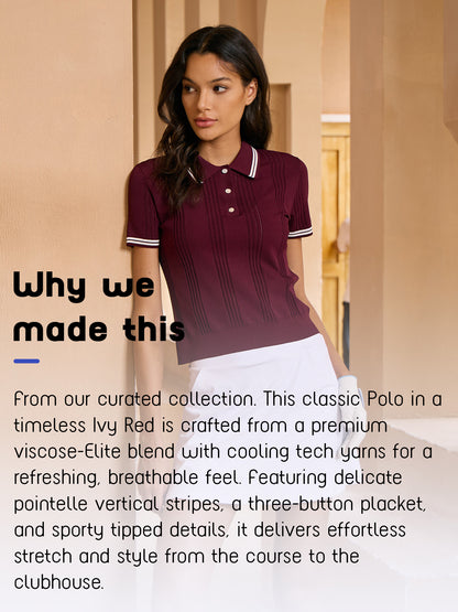 More Than Basic Short Sleeve Knit Golf Polo Shirt