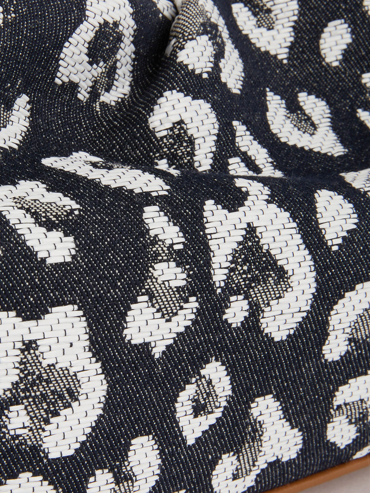 Leopard Jacquard Canvas Pleated Frame Bag